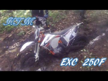 自生するバイクの収穫