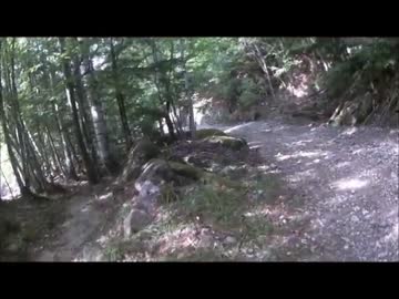 【VFR800F】林道で慣らしてきた