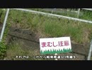 【のら】バイクで岐阜県道323号-鹿倉白山線- その１
