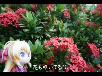 ニート、旅をする【66日目】