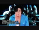 Michael Jackson - They Dont Care About Us (Sanny X Remix 2013)