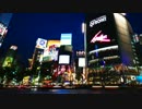 【NNI】A Night Bird【Progressive Trance】