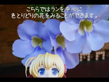 ニート、旅をする【66日目・後編】