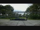 【龍の様に舞う】 Imagine Doragons 【ラヴ】