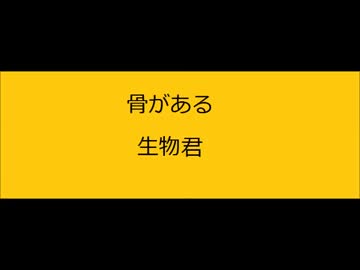 セキツイ動物　前半