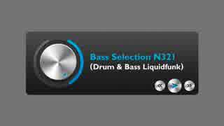 BASS SELECTION N321 (Liquidfunk DnB)