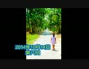 私が30日間毎日続けてみるラジオ！（仮）　第八回
