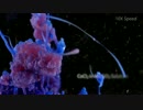 美しい化学反応、Zoom up