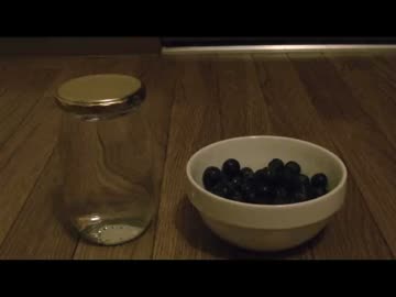 7 Days to Dieで採れた食べ物で暮らす一週間 実況付き 1日目-2