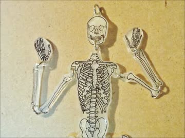 プラバンでガイコツ作ってみた