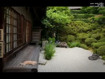 ＪＫすみれのすごいぞ大工さんの巻(◉◞◟◉｀①