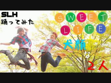 【犬顔】Sweet Lifeを踊ってみた【SLH】