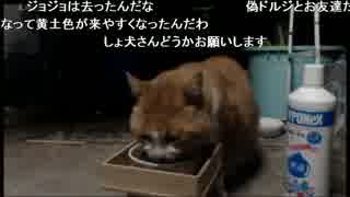 みーちゃん帰還記念SP①（2014.10.15）