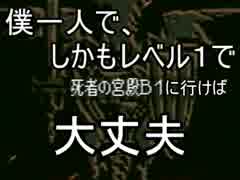 僕一人で、しかもレベル１で死者の宮殿に行けば大丈夫part５０