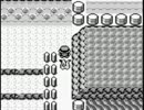 ポケモンピカ版を目隠しして実況　２１