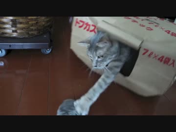 【モアクリ】 袋遊び