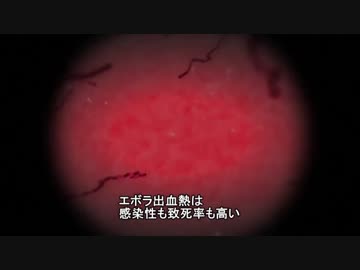 「エボラウイルス」をアニメーション解説