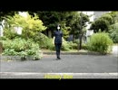 【ひとりで】Honey Bee【踊ってみた】