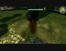 【C9】 イリュージョニスト 硬直コンボ