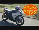 【ゆっくり車載】YZF-R1ご近所ツーリング～松江城編～