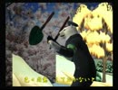 くまうた　（3611）「ハロウィンに備え」　唄：嵐山クマ男（夫)