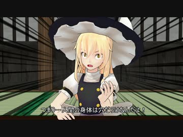 魔理沙が何かを発見したようです