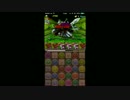 【パズドラ】ゼウス・ディオス降臨 赤オーディンPT TA 1:30