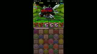 【パズドラ】ゼウス・ディオス降臨 赤オーディンPT TA 1:30