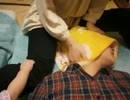 赤さん＆子あり　りらく屋の頭スッキリコース　HWなし