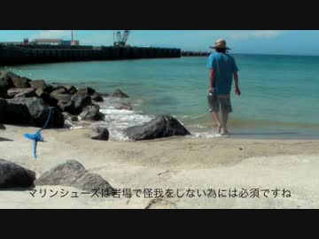 [part6] 友人をつれて島でサバイバル生活してきた 半自給自足生活