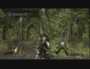 【ダークソウル２】心が折れそうなんですけど、何か？【実況】Part8