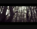 Yosi Horikawa-Aotearoa