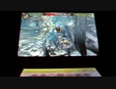 【MH4G】２分で回れる最速お守りマラソン講座【天空山】