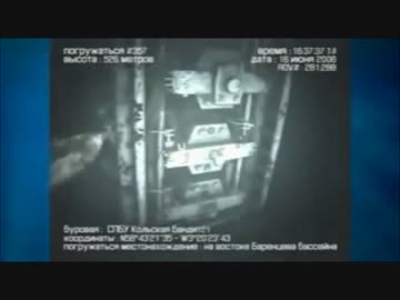 人魚が映ったとされる映像集