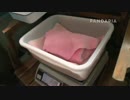 20140806 月亮産室 飼育員は珍多の体重を量り奇珍に渡す。奇珍は起きて抱きつく。