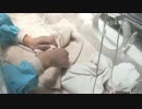 20140729 AM1157 月亮産室 飼育員は大双の子の体温を測る。