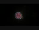 2014.10.18 （熊本）八代花火　昇曲導八重芯金閃花散華冠菊