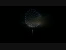 2014.10.18 （熊本）八代花火　グラデーションボール