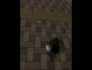 バイト帰りに野良猫に会ったんだが・・・