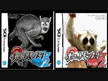 金銀カントートレーナー神社.gbc?