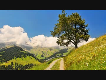 【オリジナル・NNI】エレキギターで軽やかに【BGM・素材】