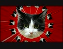 「ねこかわいい」歌ってみました。【このり】