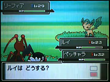 実況 ポケモンプラチナを初プレイで冒険だ 77 212番道路3 ニコニコ動画
