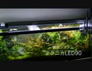 変態水槽で行こう♪　その４　全景公開