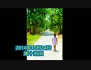 私が30日間毎日続けてみるラジオ！　第十五回