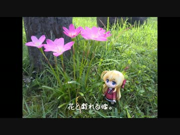 ニート、旅をする【69日目】