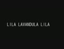 LILA LAVANDULA LILA
