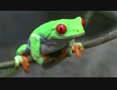 【ドラクエⅣ】勇者の故郷のGB音源を+αしてみた