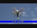mixi日記用動画39