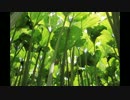 2014 夏の北海道、一週間旅＃08